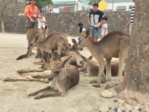 何されても無反応